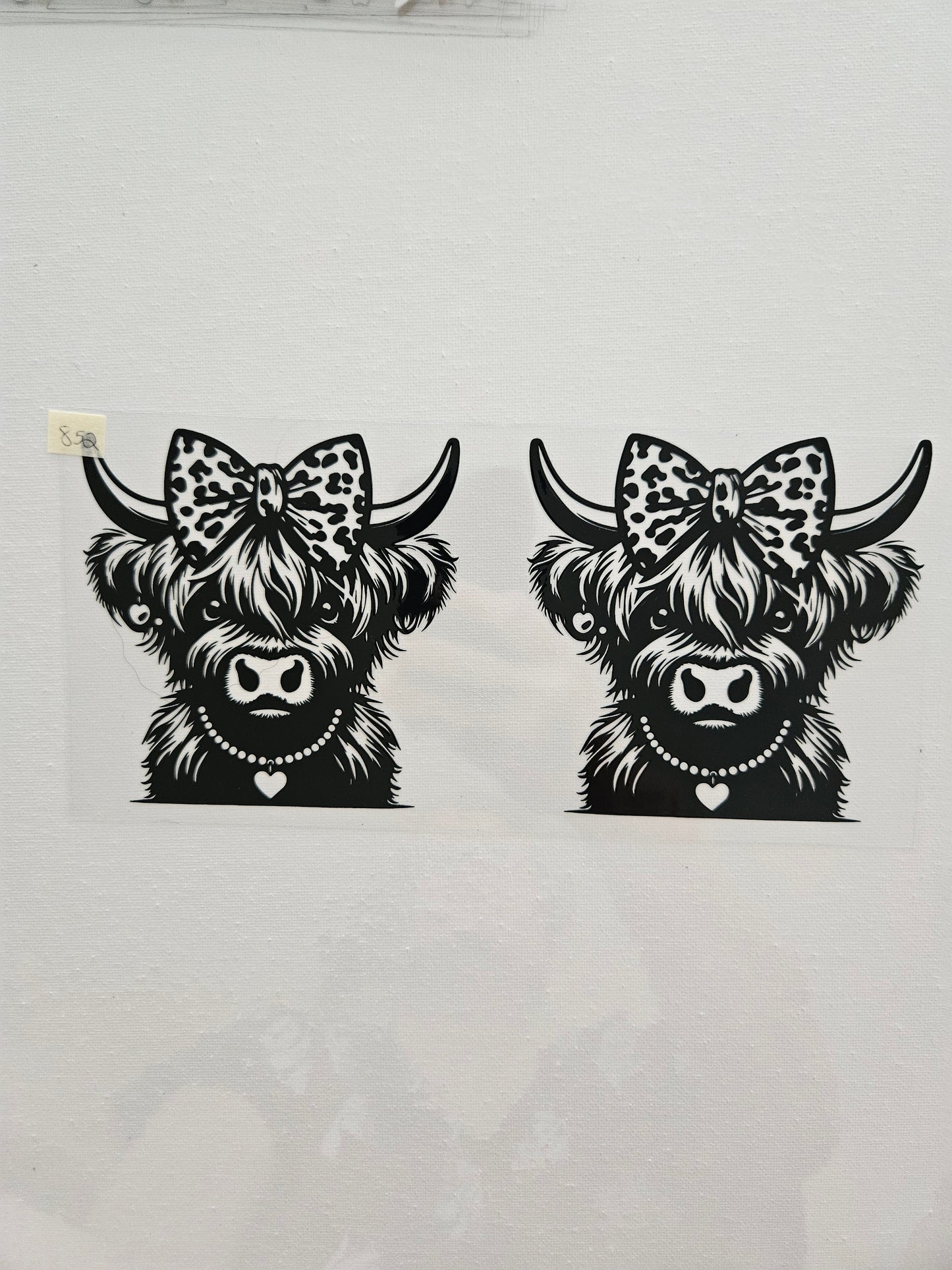 ANIMALS