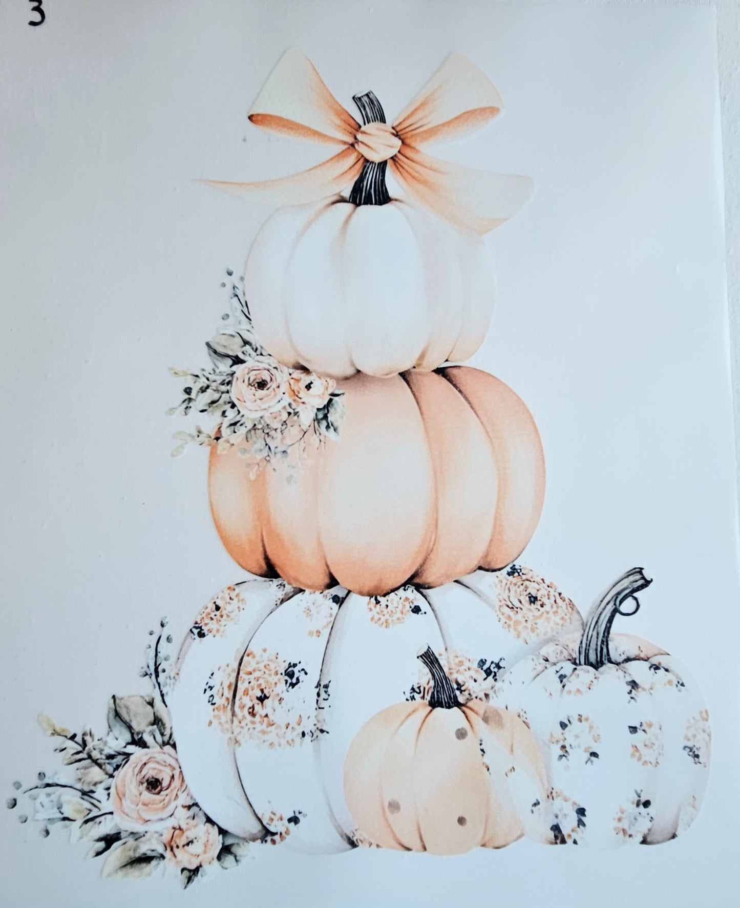 Fall/Halloween