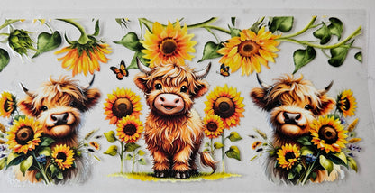 ANIMALS