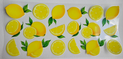BUTTERFLIES, FLOWERS AND FRUITS