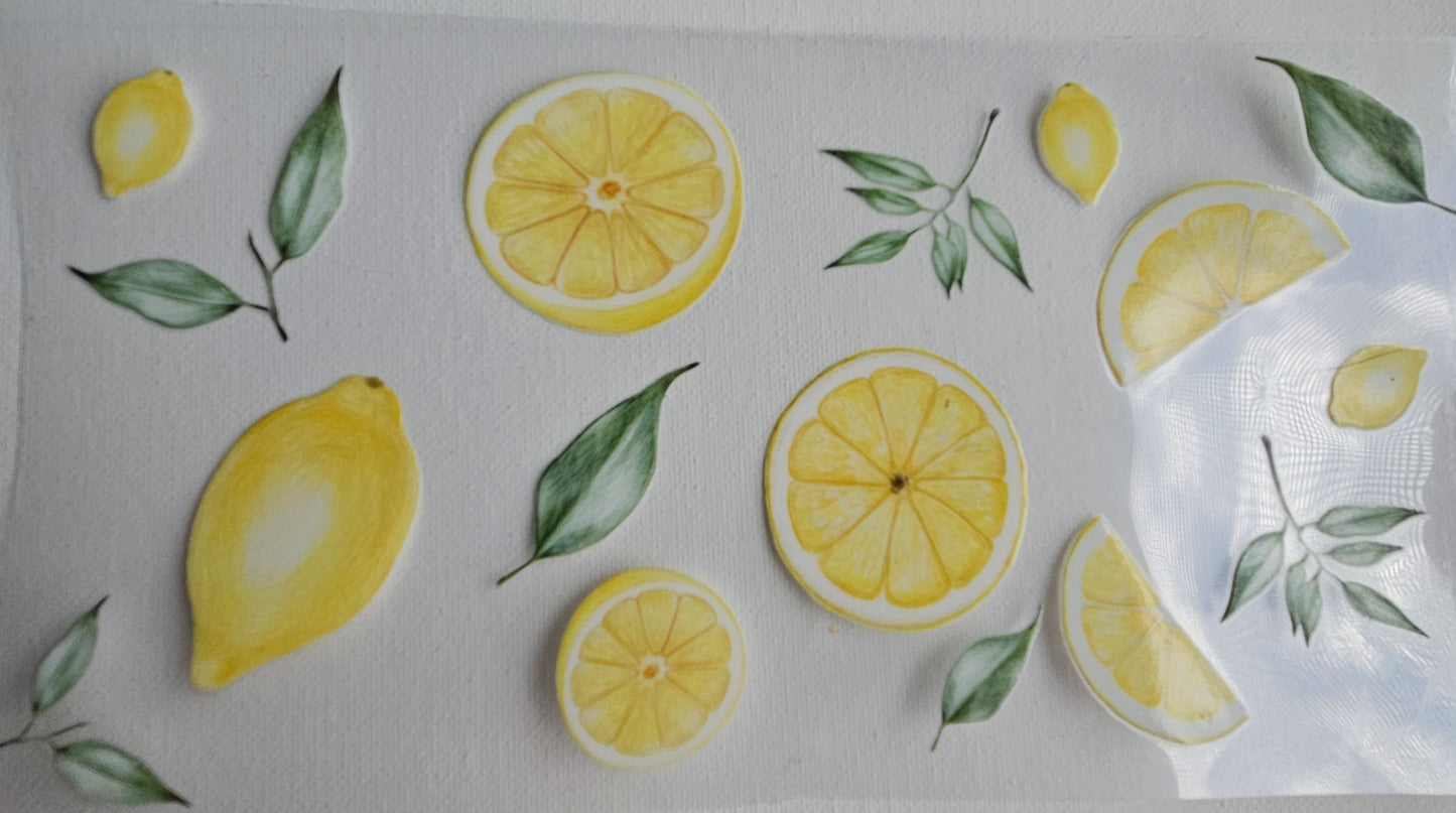 BUTTERFLIES, FLOWERS AND FRUITS
