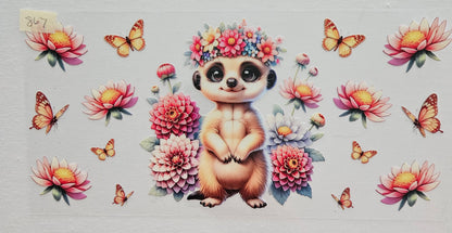 ANIMALS