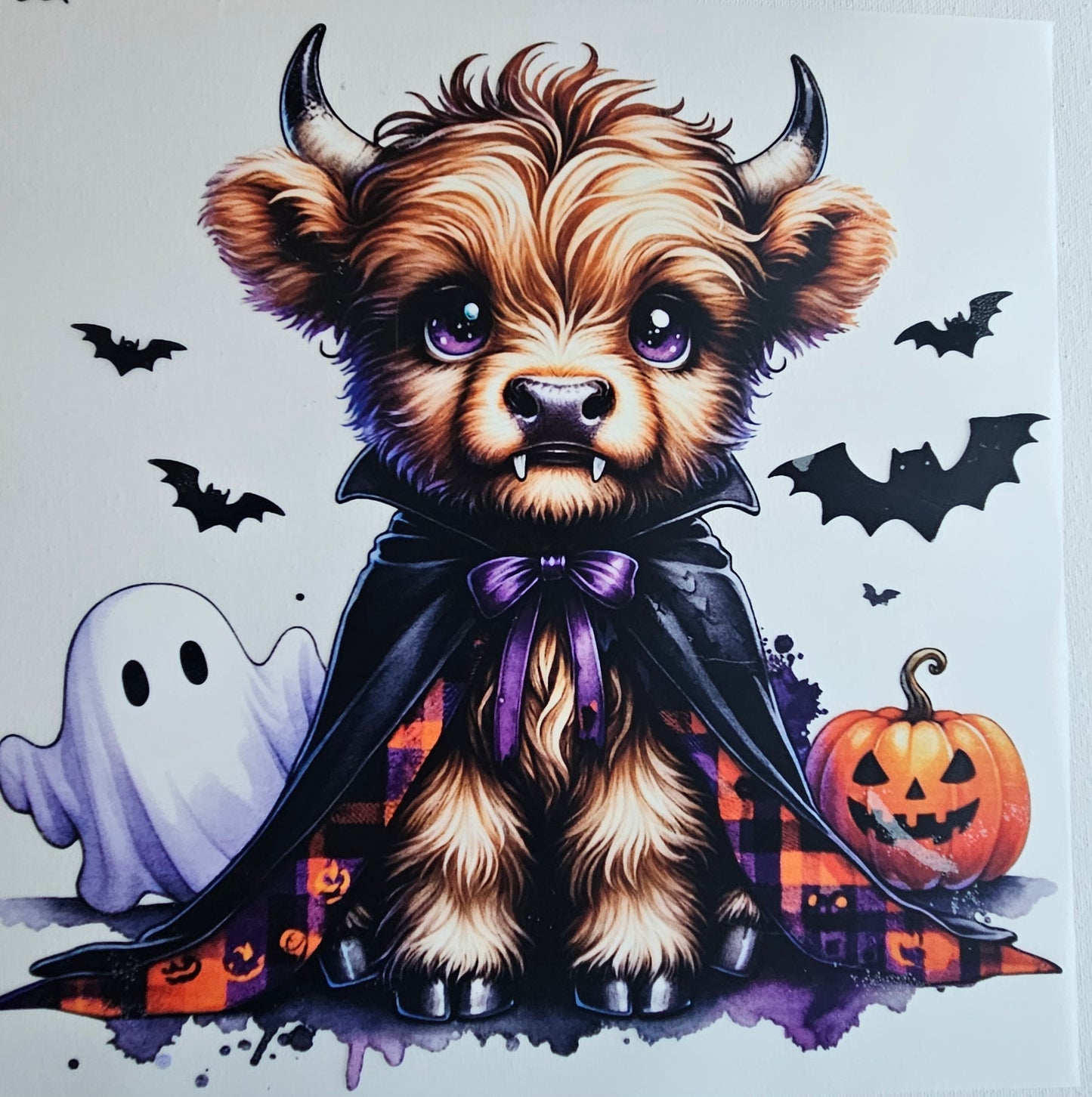Fall/Halloween